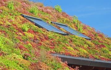 The Handfords living roof systems
